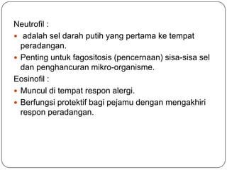 Neutrofil :
 adalah sel darah putih yang pertama ke tempat
  peradangan.
 Penting untuk fagositosis (pencernaan) sisa-sisa sel
  dan penghancuran mikro-organisme.
Eosinofil :
 Muncul di tempat respon alergi.
 Berfungsi protektif bagi pejamu dengan mengakhiri
  respon peradangan.
 