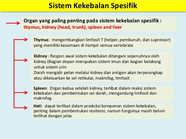 Sistem imunitas ikan Sistem imunitas ikan