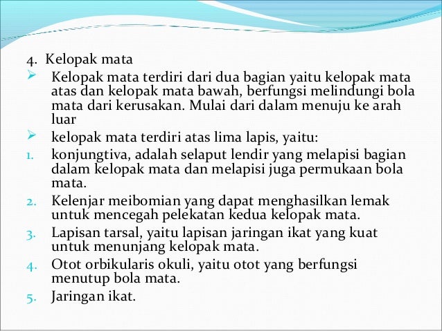 Sistem indera