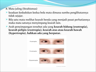 Sistem indera | PPT