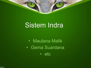 Sistem Indra
• Maulana Malik
• Gema Suardana
• etc
 