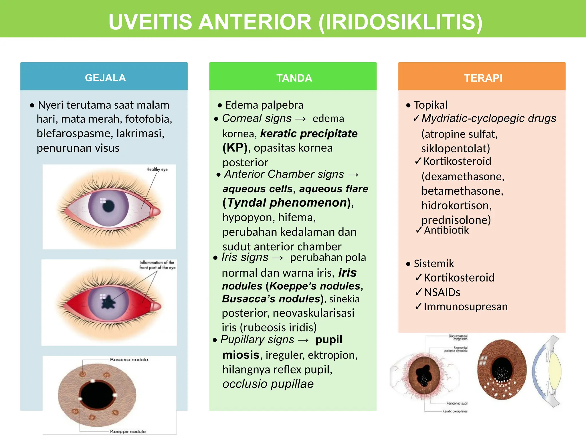 Visus Normal sistem indra (mata dan tht) UKMPPD Universitas Malahayati.pptx