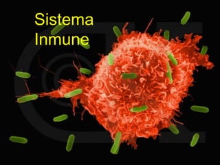 Sistema
Inmune
 