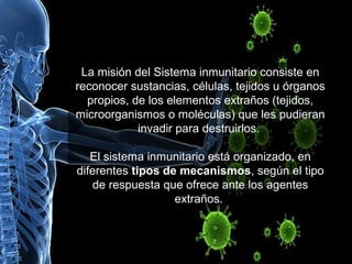 La misión del Sistema inmunitario consiste en
reconocer sustancias, células, tejidos u órganos
propios, de los elementos extraños (tejidos,
microorganismos o moléculas) que les pudieran
invadir para destruirlos.
El sistema inmunitario está organizado, en
diferentes tipos de mecanismos, según el tipo
de respuesta que ofrece ante los agentes
extraños.
 