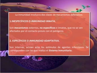 Inmunidad
La inmunidad involucra dos clases de mecanismos defensivos:
1.INESPECÍFICOS O INMUNIDAD INNATA.
Son mecanismos externos, no específicos e innatos, que no se ven
afectados por el contacto previo con el patógeno.
2. ESPECÍFICOS O INMUNIDAD ADAPTATIVA.
Son internas, actúan ante los estímulos de agentes infecciosos. Se
corresponden con las que realiza el Sistema Inmunitario.
La inmunidad involucra dos clases de mecanismos defensivos:
1.INESPECÍFICOS O INMUNIDAD INNATA.
Son mecanismos externos, no específicos e innatos, que no se ven
afectados por el contacto previo con el patógeno.
2. ESPECÍFICOS O INMUNIDAD ADAPTATIVA.
Son internas, actúan ante los estímulos de agentes infecciosos. Se
corresponden con las que realiza el Sistema Inmunitario.
 