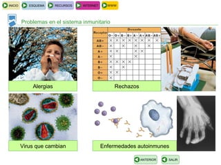 INICIO ESQUEMA RECURSOS INTERNET
Problemas en el sistema inmunitario
SALIRANTERIOR
Alergias
Virus que cambian
Rechazos
Enfermedades autoinmunes
WWW
 