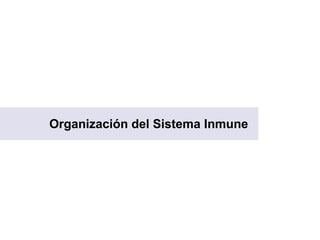 Organización del Sistema Inmune
 