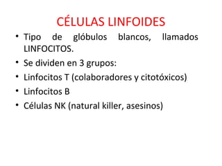 CÉLULAS LINFOIDES
• Tipo de glóbulos blancos, llamados
LINFOCITOS.
• Se dividen en 3 grupos:
• Linfocitos T (colaboradores y citotóxicos)
• Linfocitos B
• Células NK (natural killer, asesinos)
 