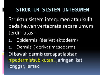 STRUKTUR SISTEM INTEGUMEN
Struktur sistem integumen atau kulit
pada hewan vertebrata secara umum
terdiri atas :
1. Epidermis (derivat ektoderm)
2. Dermis ( derivat mesoderm)
Di bawah dermis terdapat lapisan
hipodermis/sub kutan : jaringan ikat
longgar, lemak
 