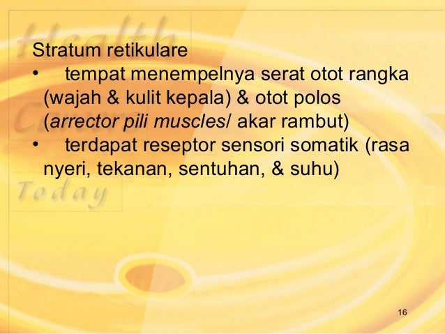 Sistem integumen (Struktur Hewan)