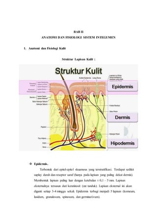 BAB II
ANATOMI DAN FISIOLOGI SISTEM INTEGUMEN
1. Anatomi dan Fisiologi Kulit
Struktur Lapisan Kulit :
 Epidermis.
Terbentuk dari epitel-epitel skuamous yang terstratifikasi. Terdapat sedikit
suplay darah dan reseptor saraf (hanya pada lapisan yang paling dekat dermis).
Membentuk lapisan paling luar dengan ketebalan ± 0,1 – 5 mm. Lapisan
eksternalnya tersusun dari keratinosit (zat tanduk). Lapisan eksternal ini akan
diganti setiap 3-4 minggu sekali. Epidermis terbagi menjadi 5 lapisan (korneum,
lusidum, granulosum, spinosum, dan germinativum).
 