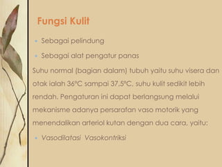 Fungsi Kulit


Sebagai pelindung



Sebagai alat pengatur panas

Suhu normal (bagian dalam) tubuh yaitu suhu visera dan
otak ialah 36ºC sampai 37,5ºC, suhu kulit sedikit lebih
rendah. Pengaturan ini dapat berlangsung melalui
mekanisme adanya persarafan vaso motorik yang
menendalikan arteriol kutan dengan dua cara, yaitu:


Vasodilatasi Vasokontriksi

 