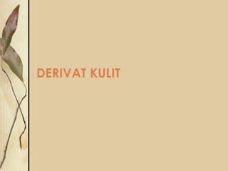 DERIVAT KULIT

 