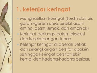1. kelenjar keringat





Menghasilkan keringat (terdiri dari air,
garam-garam urea, sedikit asam
amino, asam lemak, dan amoniak)
Keringat berfungsi dalam ekskresi
dan keseimbangan tubuh
Kelenjar keringat di daerah ketiak
dan selangkangan bersifat apokrin
sehingga keringat bersifat lebih
kental dan kadang-kadang berbau

 