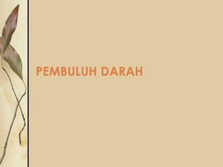 PEMBULUH DARAH

 