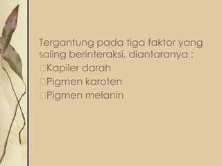 Tergantung pada tiga faktor yang
saling berinteraksi, diantaranya :

Kapiler darah

Pigmen karoten

Pigmen melanin

 