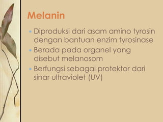 Melanin
Diproduksi dari asam amino tyrosin
dengan bantuan enzim tyrosinase
 Berada pada organel yang
disebut melanosom
 Berfungsi sebagai protektor dari
sinar ultraviolet (UV)


 