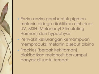 




Enzim-enzim pembentuk pigmen
melanin diduga diaktifkan oleh sinar
UV, MSH (Melanocyt Stimulating
Hormon) dan hypophyse
Penyakit kekurangan kemampuan
memproduksi melanin disebut albino
Freckles (bercak kehitaman)
diakibatkan melanosit berkumpul
banyak di suatu tempat

 