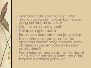 








Gambaran khas dari tonjolan dan
lekukan pada permukaan kulit telapak
ujung jari tangan dan kaki
Ditentukan secara genetis
Setiap orang berbeda
Tidak akan berubah sepanjang hidup
Telah terbentuk pada janin ketika
epidermis berkembang menyesuaikan
diri dengan perkembangan tonjolan
papila dermis
Pada telapak tangan dan jari terdapat
kelenjar keringat yang bermuara pada
tonjolan epidermis pada jari.

 