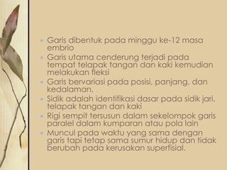 









Garis dibentuk pada minggu ke-12 masa
embrio
Garis utama cenderung terjadi pada
tempat telapak tangan dan kaki kemudian
melakukan fleksi
Garis bervariasi pada posisi, panjang, dan
kedalaman.
Sidik adalah identifikasi dasar pada sidik jari,
telapak tangan dan kaki
Rigi sempit tersusun dalam sekelompok garis
paralel dalam kumparan atau pola lain
Muncul pada waktu yang sama dengan
garis tapi tetap sama sumur hidup dan tidak
berubah pada kerusakan superfisial.

 