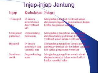 Injap-injap JantungInjap-injap Jantung
Injap Kedudukan Fungsi
Triskuspid Di antara
atrium kanan
dan vebtrikal
kiri
Menghalang darah di ventrikal kanan
daripada mengalir ke dalam atrium kanan
ketika pengecutan ventrikal
Semilunanr
pulmonari
Depan batang
pulmonari
Menghalang pengaliran semula darah
daripada batang pulmonari ke dalam
ventrikal kanan ketika ventrikan rehat
Biskupid Di antara
atrium kiri dan
ventrikal kiri
Menghalang pengaliran semula darah
daripada ventrikal kiri ke dalam ventrikal
kiri ketika pengecutan ventrikal
Semilunar
aortik
Depan dinding
aorta
Menghalang pengaliran semula darah
daripada aorta ke dalam ventrikal kiri
ketika ventrikal rehat
 