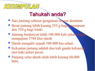 Tahukah anda?Tahukah anda?
 Saiz jantung sebesar gengaman tangan dominan
 Berat jantung lebih kurang 255 g bagi perempuan
dan 310 g bagi lelaki
 Jantung berdenyut lebih 100 000 kali sehari untuk
mengepam 3784 liter darah
 Darah mengalir sejauh 100 000 km sehari.
 Kekuatan jantung adalah dua kali ganda kekuatan
otot kaki pelari pecut.
 Panjang salur darah ialah lebih kurang 60,000
batu.
 