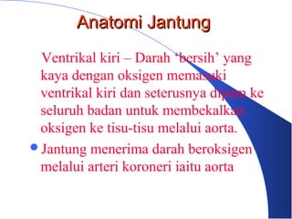 Ventrikal kiri – Darah ‘bersih’ yang
kaya dengan oksigen memasuki
ventrikal kiri dan seterusnya dipam ke
seluruh badan untuk membekalkan
oksigen ke tisu-tisu melalui aorta.
Jantung menerima darah beroksigen
melalui arteri koroneri iaitu aorta
Anatomi JantungAnatomi Jantung
 