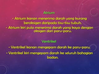 AtriumAtrium
- Atrium kanan menerima darah yang kurang- Atrium kanan menerima darah yang kurang
beroksigen daripada tisu-tisu tubuh.beroksigen daripada tisu-tisu tubuh.
- Atrium kiri pula menerima darah yang kaya dengan- Atrium kiri pula menerima darah yang kaya dengan
oksigen dari paru-paru.oksigen dari paru-paru.
VentrikelVentrikel
- Ventrikel kanan mengepam darah ke paru-paru.- Ventrikel kanan mengepam darah ke paru-paru.
- Ventrikel kiri mengepam darah ke seluruh bahagian- Ventrikel kiri mengepam darah ke seluruh bahagian
badan.badan.
 