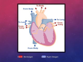 Darah Nyah OksigenDarah Nyah OksigenDarah BeroksigenDarah Beroksigen
 