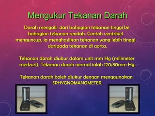 Mengukur Tekanan DarahMengukur Tekanan Darah
Darah mengalir dari bahagian tekanan tinggi keDarah mengalir dari bahagian tekanan tinggi ke
bahagian tekanan rendah. Contoh ventrikelbahagian tekanan rendah. Contoh ventrikel
menguncup, ia menghasilkan tekanan yang lebih tinggimenguncup, ia menghasilkan tekanan yang lebih tinggi
daripada tekanan di aorta.daripada tekanan di aorta.
Tekanan darah diukur dalam unit mm Hg (milimeterTekanan darah diukur dalam unit mm Hg (milimeter
merkuri). Tekanan darah normal ialah 120/80mm Hg.merkuri). Tekanan darah normal ialah 120/80mm Hg.
Tekanan darah boleh diukur dengan menggunakanTekanan darah boleh diukur dengan menggunakan
SPHYGNOMANOMETER.SPHYGNOMANOMETER.
 