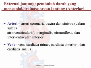 1
2
Chapter 18, Cardiovascular System
 Arteri – arteri coronaria dextra dan sinistra (dalam
sulcus
atrioventricularis), marginalis, circumflexa, dan
interventricular anterior
 Vena– vena cardiaca minus, cardiaca anterior , dan
cardiaca majus
External jantung: pembuluh darah yang
mensuplai/drainase organ jantung (Anterior)
 