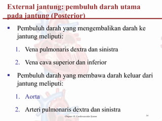 14
Chapter 18, Cardiovascular System
 Pembuluh darah yang mengembalikan darah ke
jantung meliputi:
1. Vena pulmonaris dextra dan sinistra
2. Vena cava superior dan inferior
 Pembuluh darah yang membawa darah keluar dari
jantung meliputi:
1. Aorta
2. Arteri pulmonaris dextra dan sinistra
External jantung: pembuluh darah utama
pada jantung (Posterior)
 