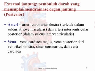 15
Chapter 18, Cardiovascular System
 Arteri – arteri coronarius dextra (terletak dalam
sulcus atrioventricularis) dan arteri interventricular
posterior (dalam sulcus interventricularis)
 Vena – vena cardiaca majus, vena posterior dari
ventrikel sinistra, sinus coronarius, dan vena
cardiaca
External jantung: pembuluh darah yang
mensuplai/mendrainase organ jantung
(Posterior)
 