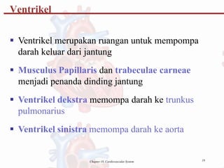 19
Chapter 18, Cardiovascular System
Ventrikel
 Ventrikel merupakan ruangan untuk mempompa
darah keluar dari jantung
 Musculus Papillaris dan trabeculae carneae
menjadi penanda dinding jantung
 Ventrikel dekstra memompa darah ke trunkus
pulmonarius
 Ventrikel sinistra memompa darah ke aorta
 