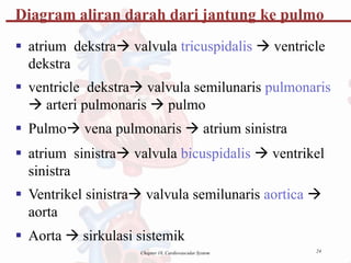 24
Chapter 18, Cardiovascular System
Diagram aliran darah dari jantung ke pulmo
 atrium dekstra valvula tricuspidalis  ventricle
dekstra
 ventricle dekstra valvula semilunaris pulmonaris
 arteri pulmonaris  pulmo
 Pulmo vena pulmonaris  atrium sinistra
 atrium sinistra valvula bicuspidalis  ventrikel
sinistra
 Ventrikel sinistra valvula semilunaris aortica 
aorta
 Aorta  sirkulasi sistemik
 