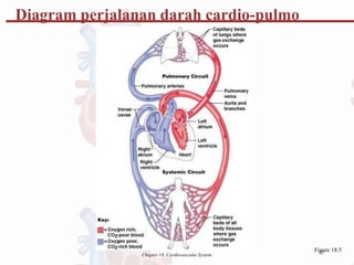 Chapter 18, Cardiovascular System
Fi2
g2
ure 18.5
Diagram perjalanan darah cardio-pulmo
 