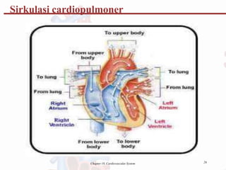 Sirkulasi cardiopulmoner
26
Chapter 18, Cardiovascular System
 
