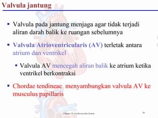 Valvula jantung
30
Chapter 18, Cardiovascular System
 Valvula pada jantung menjaga agar tidak terjadi
aliran darah balik ke ruangan sebelumnya
 Valvula Atrioventricularis (AV) terletak antara
atrium dan ventrikel
 Valvula AV mencegah aliran balik ke atrium ketika
ventrikel berkontraksi
 Chordae tendineae menyambungkan valvula AV ke
musculus papillaris
 