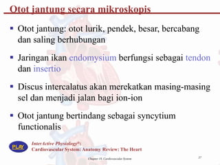 Otot jantung secara mikroskopis
 Otot jantung: otot lurik, pendek, besar, bercabang
dan saling berhubungan
 Jaringan ikan endomysium berfungsi sebagai tendon
dan insertio
 Discus intercalatus akan merekatkan masing-masing
sel dan menjadi jalan bagi ion-ion
 Otot jantung bertindang sebagai syncytium
functionalis
InterActive Physiology®:
Cardiovascular System: Anatomy Review: The Heart
PLA
Y
37
Chapter 18, Cardiovascular System
 