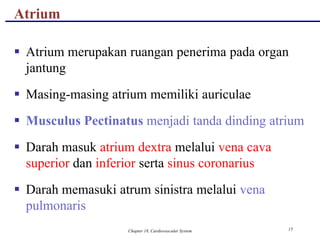Chapter 18, Cardiovascular System 15
Atrium
 Atrium merupakan ruangan penerima pada organ
jantung
 Masing-masing atrium memiliki auriculae
 Musculus Pectinatus menjadi tanda dinding atrium
 Darah masuk atrium dextra melalui vena cava
superior dan inferior serta sinus coronarius
 Darah memasuki atrum sinistra melalui vena
pulmonaris
 