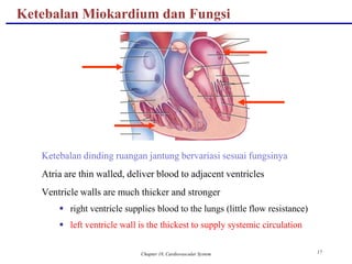 Chapter 18, Cardiovascular System 17
Ketebalan Miokardium dan Fungsi
Ketebalan dinding ruangan jantung bervariasi sesuai fungsinya
Atria are thin walled, deliver blood to adjacent ventricles
Ventricle walls are much thicker and stronger
 right ventricle supplies blood to the lungs (little flow resistance)
 left ventricle wall is the thickest to supply systemic circulation
 