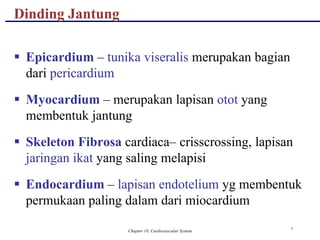 Chapter 18, Cardiovascular System 7
Dinding Jantung
 Epicardium – tunika viseralis merupakan bagian
dari pericardium
 Myocardium – merupakan lapisan otot yang
membentuk jantung
 Skeleton Fibrosa cardiaca– crisscrossing, lapisan
jaringan ikat yang saling melapisi
 Endocardium – lapisan endotelium yg membentuk
permukaan paling dalam dari miocardium
 