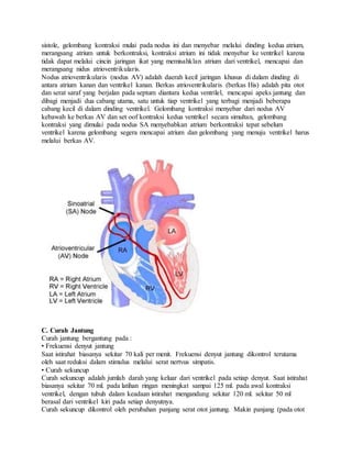 sistole, gelombang kontraksi mulai pada nodus ini dan menyebar melalui dinding kedua atrium,
merangsang atrium untuk berkontraksi, kontraksi atrium ini tidak menyebar ke ventrikel karena
tidak dapat melalui cincin jaringan ikat yang memisahklan atrium dari ventrikel, mencapai dan
merangsang nidus atrioventrikularis.
Nodus atrioventrikularis (nodus AV) adalah daerah kecil jaringan khusus di dalam dinding di
antara atrium kanan dan ventrikel kanan. Berkas atrioventrikularis (berkas His) adalah pita otot
dan serat saraf yang berjalan pada septum diantara kedua ventrilel, mencapai apeks jantung dan
dibagi menjadi dua cabang utama, satu untuk tiap ventrikel yang terbagi menjadi beberapa
cabang kecil di dalam dinding ventrikel. Gelombang kontraksi menyebar dari nodus AV
kebawah ke berkas AV dan set oof kontraksi kedua ventrikel secara simultan, gelombang
kontraksi yang dimulai pada nodus SA menyebabkan atrium berkontraksi tepat sebelum
ventrikel karena gelombang segera mencapai atrium dan gelombang yang menuju ventrikel harus
melalui berkas AV.
C. Curah Jantung
Curah jantung bergantung pada :
• Frekuensi denyut jantung
Saat istirahat biasanya sekitar 70 kali per menit. Frekuensi denyut jantung dikontrol terutama
oleh saat reduksi dalam stimulus melalui serat nertvus simpatis.
• Curah sekuncup
Curah sekuncup adalah jumlah darah yang keluar dari ventrikel pada setiap denyut. Saat istirahat
biasanya sekitar 70 ml. pada latihan ringan meningkat sampai 125 ml. pada awal kontraksi
ventrikel, dengan tubuh dalam keadaan istirahat mengandung sekitar 120 ml. sekitar 50 ml
berasal dari ventrikel kiri pada setiap denyutnya.
Curah sekuncup dikontrol oleh perubahan panjang serat otot jantung. Makin panjang (pada otot
 