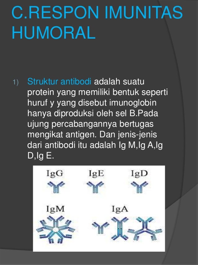 Soal Dan Pembahasan Un Biologi Tentang Sistem Kekebalan Tubuh