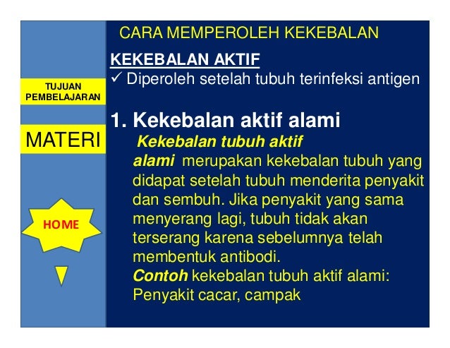 Sistem Pertahanan Tubuh Oleh Ismail