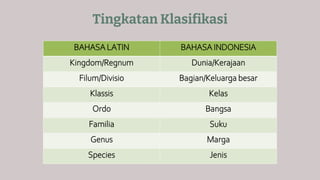 Tingkatan Klasifikasi
BAHASA LATIN BAHASA INDONESIA
Kingdom/Regnum Dunia/Kerajaan
Filum/Divisio Bagian/Keluarga besar
Klassis Kelas
Ordo Bangsa
Familia Suku
Genus Marga
Species Jenis
 