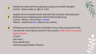 Setelah penulisan pertama pada genus yang sama boleh disingkat.
Contoh: Quercus alba, Q. alba, Q. rubra
Apabila nama tumbuhan terdiri atas lebih dari dua kata, kata kedua dan
berikutnya harus digabung atau diberi tanda penghubung.
Contoh : Hibiscus rosa sinensis menjadi
Hibiscus rosasinensis atau Hibiscus rosa-sinensis.
5
4
Dibelakang nama spesies harus dituliskan nama orang yang pertama kali
memberikan nama spesies (author). Nama author tidak ditulis miring atau
digaris bawahi.
Contoh:
Zea mays L.
Rosa hybrida Hort.
Vernonia acaulis (Walter) Gleason
6
 