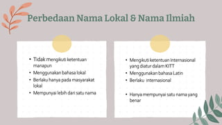 Perbedaan Nama Lokal & Nama Ilmiah
• Tidak mengikuti ketentuan
manapun
• Menggunakan bahasa lokal
• Berlaku hanya pada masyarakat
lokal
• Mempunyai lebih dari satu nama
• Mengikuti ketentuan Internasional
yang diatur dalam KITT
• Menggunakan bahasa Latin
• Berlaku internasional
• Hanya mempunyai satu nama yang
benar
 