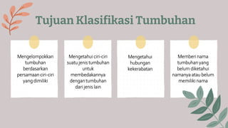 Tujuan Klasifikasi Tumbuhan
Mengelompokkan
tumbuhan
berdasarkan
persamaan ciri-ciri
yang dimiliki
Mengetahui ciri-ciri
suatu jenis tumbuhan
untuk
membedakannya
dengan tumbuhan
dari jenis lain
Mengetahui
hubungan
kekerabatan
Memberi nama
tumbuhan yang
belum diketahui
namanya atau belum
memiliki nama
 