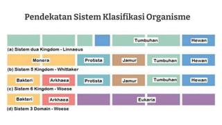 Pendekatan Sistem Klasifikasi Organisme
 